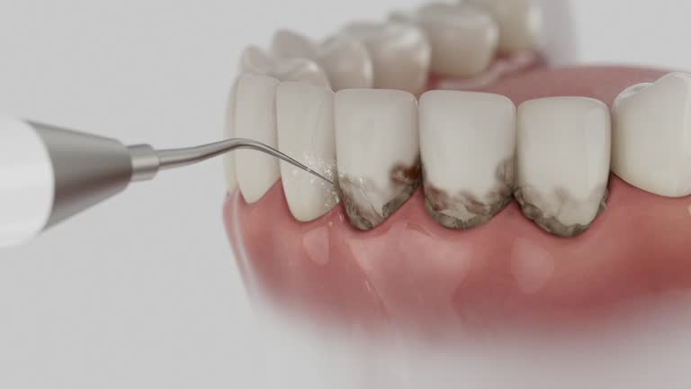 Reliable Dental contractor in Wake Forest, NC by Dentist Open Now